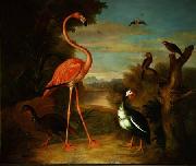 Jakob Bogdani Flamingo and Other Birds in a Landscape oil painting